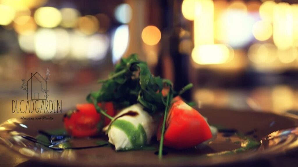 A Blend of Passion and Flavor at Kim’s Kitchen