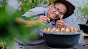 Dumpling Garden Saugus A Must-Visit Haven for Dumpling Lovers