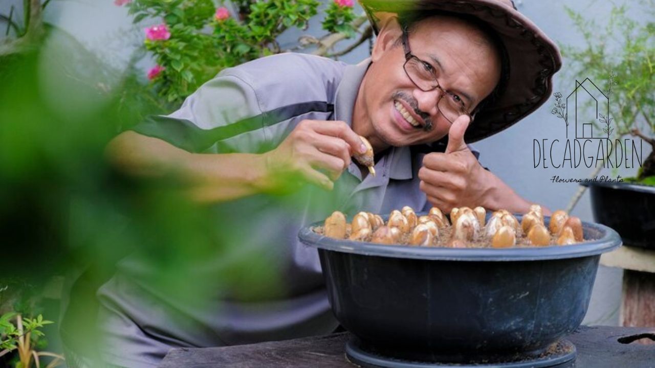 Dumpling Garden Saugus A Must-Visit Haven for Dumpling Lovers