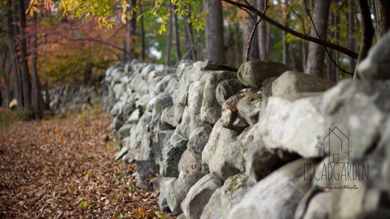 Glendinning Rock Garden A Hidden Gem in East Fairmount Park