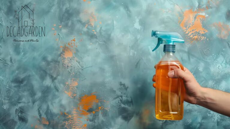 Home Remedy for Cleaning Oil Paintings Simple Tips