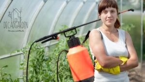 How Do We Fix the Problems with Pest Management