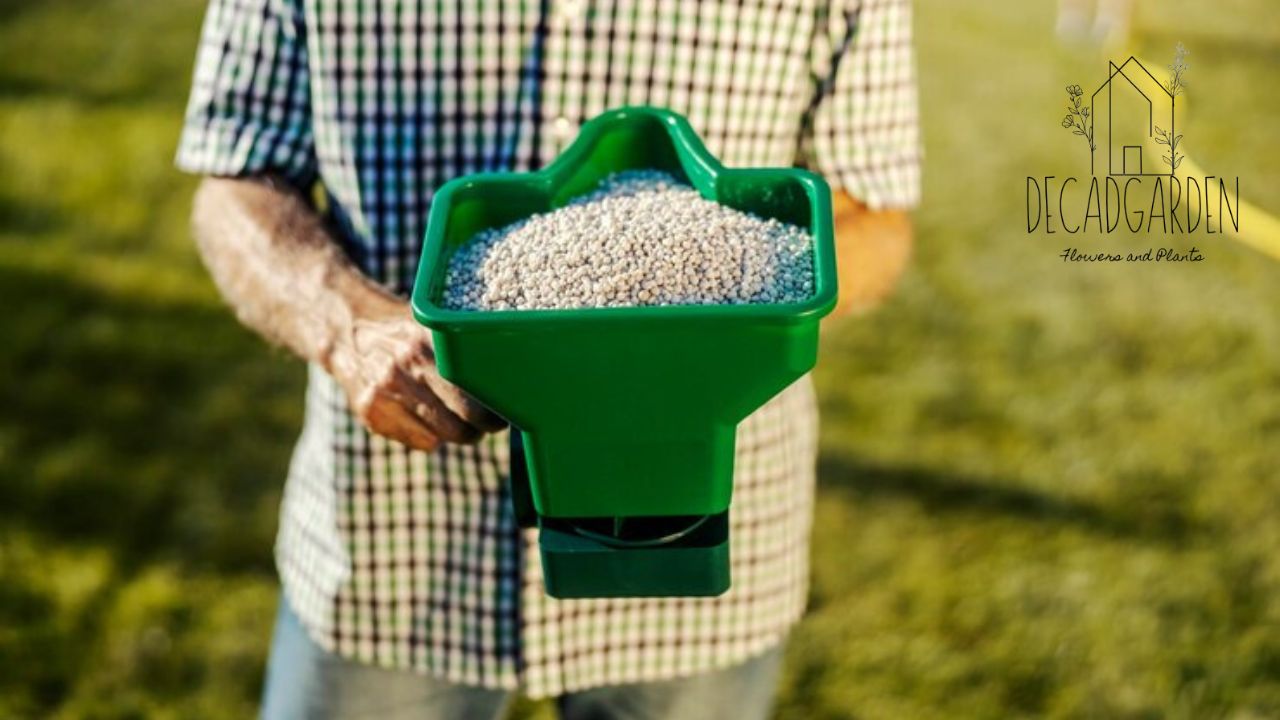 How to Care for Hydroseed - Tips for a Lush Lawn
