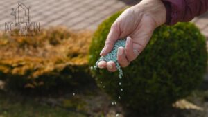 How to Care for Your Newly Hydroseeded Yard