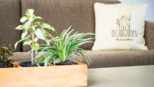 Indoor Planter Rectangular The Perfect Addition to Your Green Space
