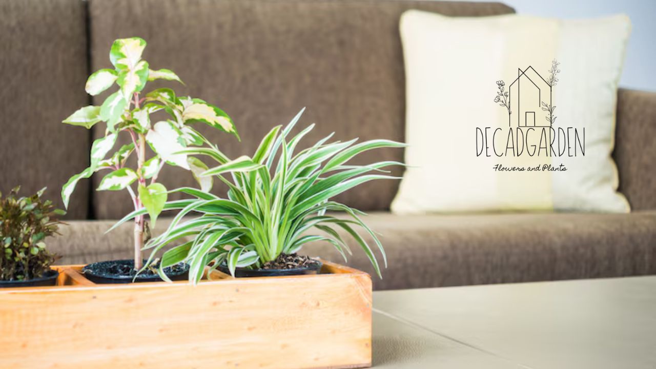 Indoor Planter Rectangular The Perfect Addition to Your Green Space
