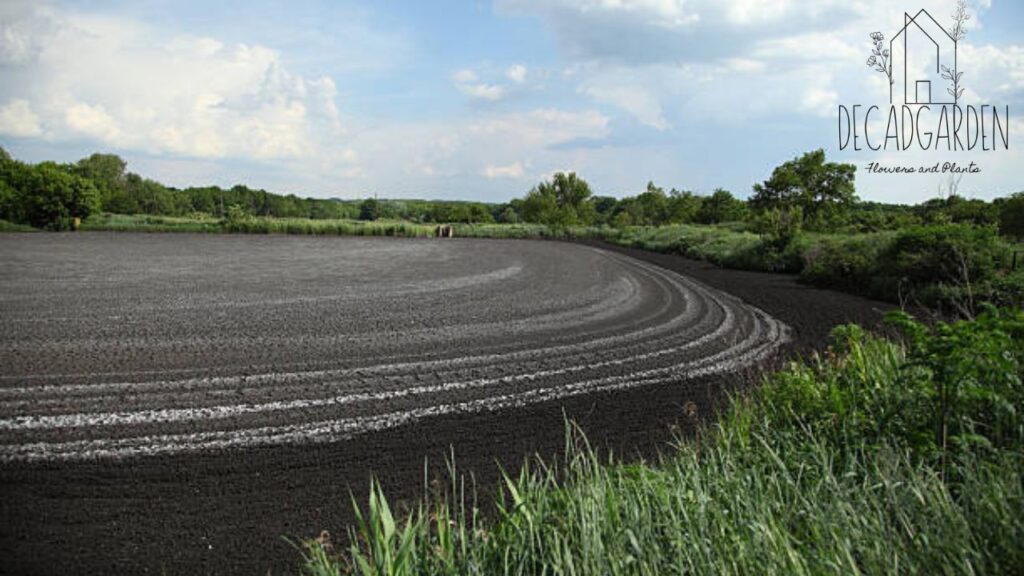 What Is Hydroseeding, and Why Is It Popular