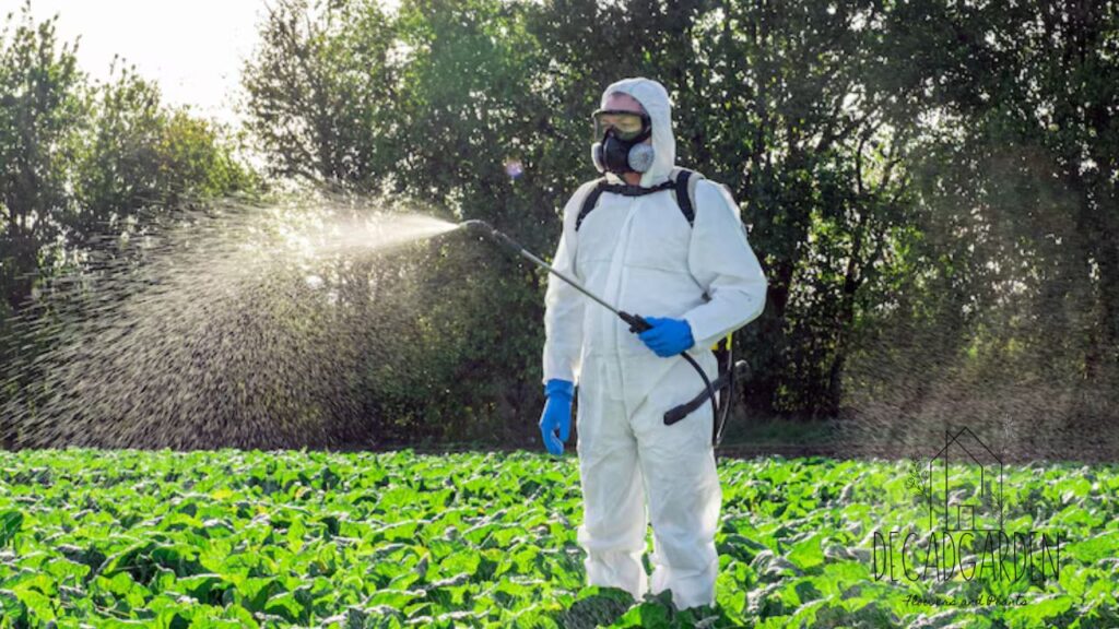 Why Pest Management Is a Growing Concern