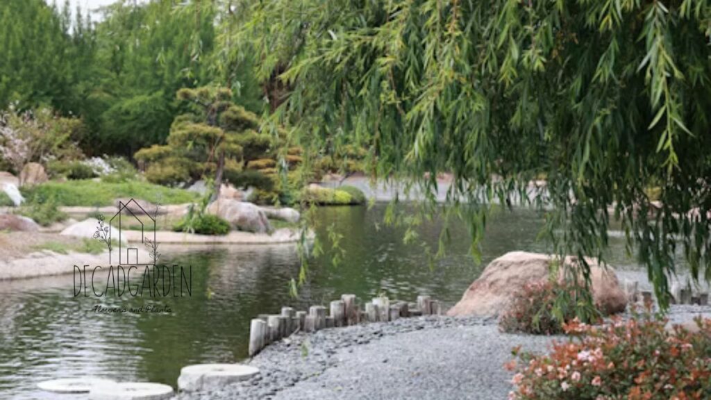 Why Visit Zen Garden Sacramento