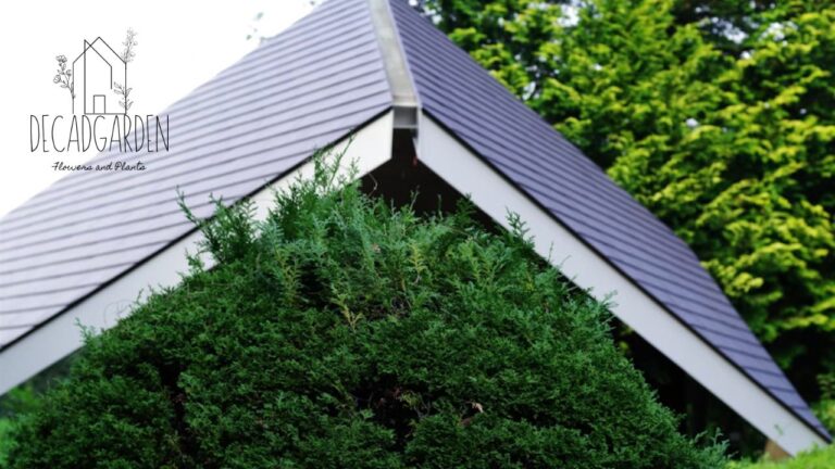 Burnished Slate Metal Roof Durable & Stylish Roofing Solutions