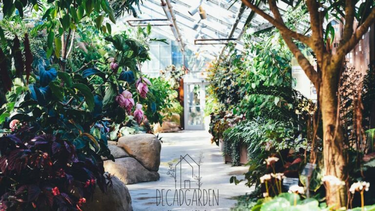 Cody Home and Garden Show 2024 Plan Your Visit Today