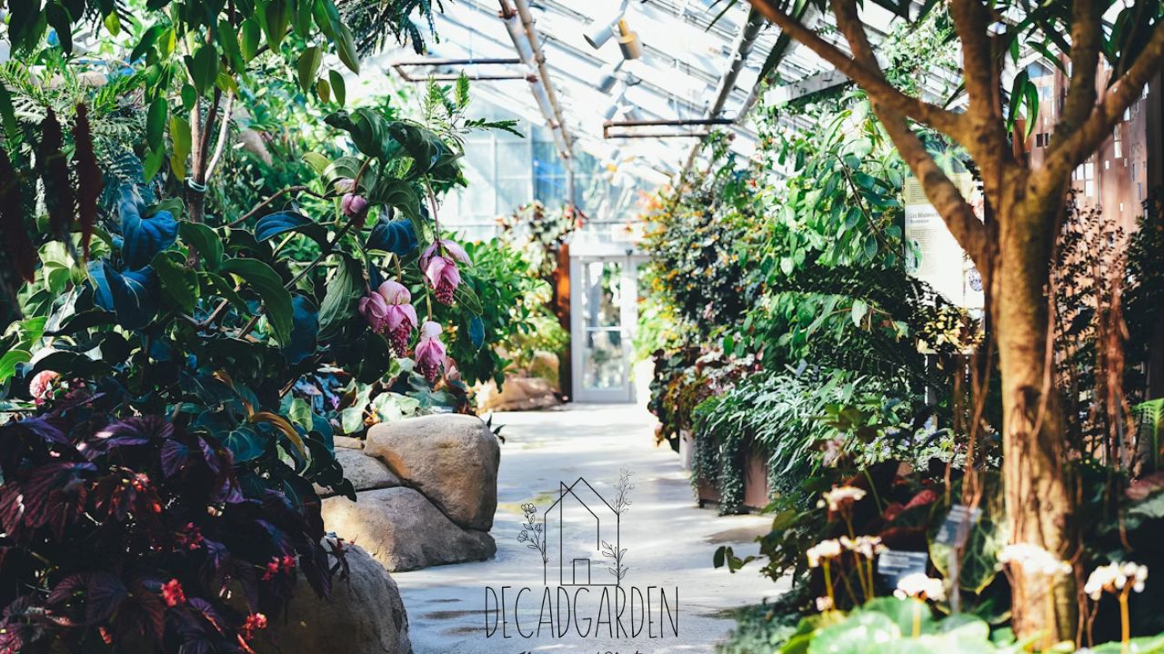 Cody Home and Garden Show 2024 Plan Your Visit Today