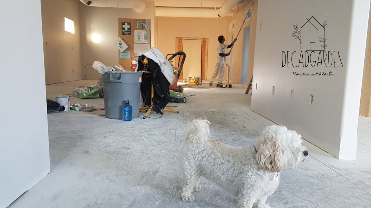 Easy Home Improvements that Make a Huge Difference