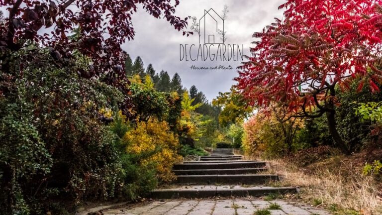 Explore the Chestnut Hill Home & Garden Festival 2025 –