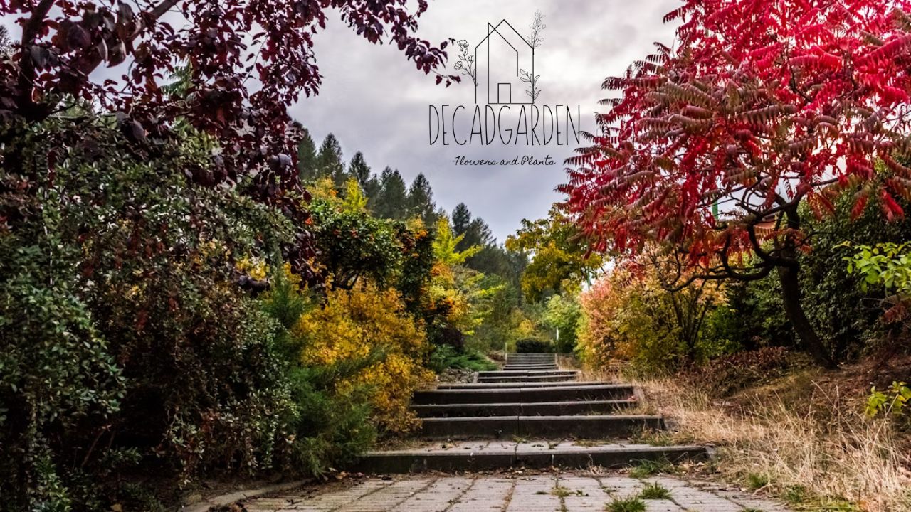 Explore the Chestnut Hill Home & Garden Festival 2025 –
