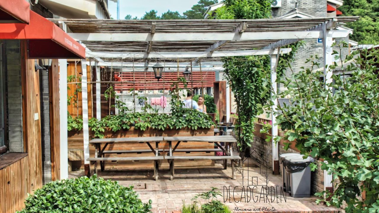 Oliver's Beer Garden Best Outdoor Bar & Dining Experience