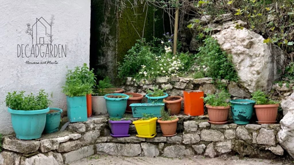 How to Choose the Right Pot for Your Garden