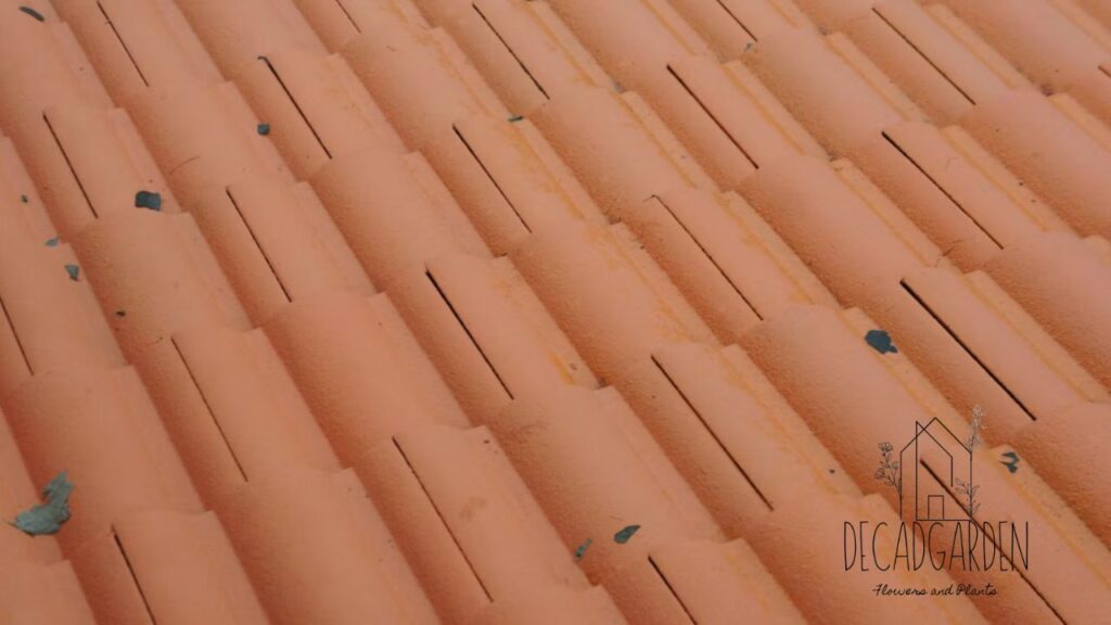 Polycarbonate Roof Panels - Find CSI Code Details Here