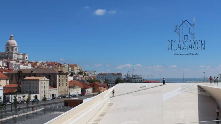 Roof 69 Luxury Penthouse in Split, Croatia - Book Now