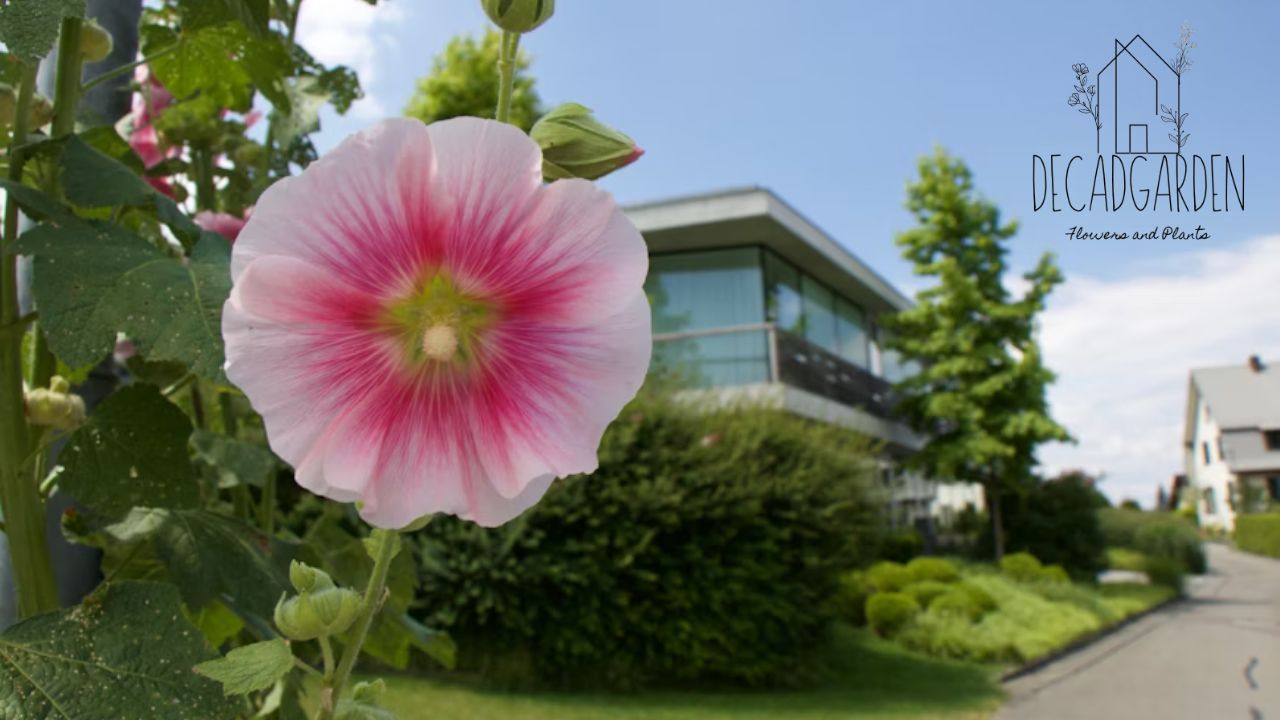 Rose Garden Branch Library Hours Visit Us Today