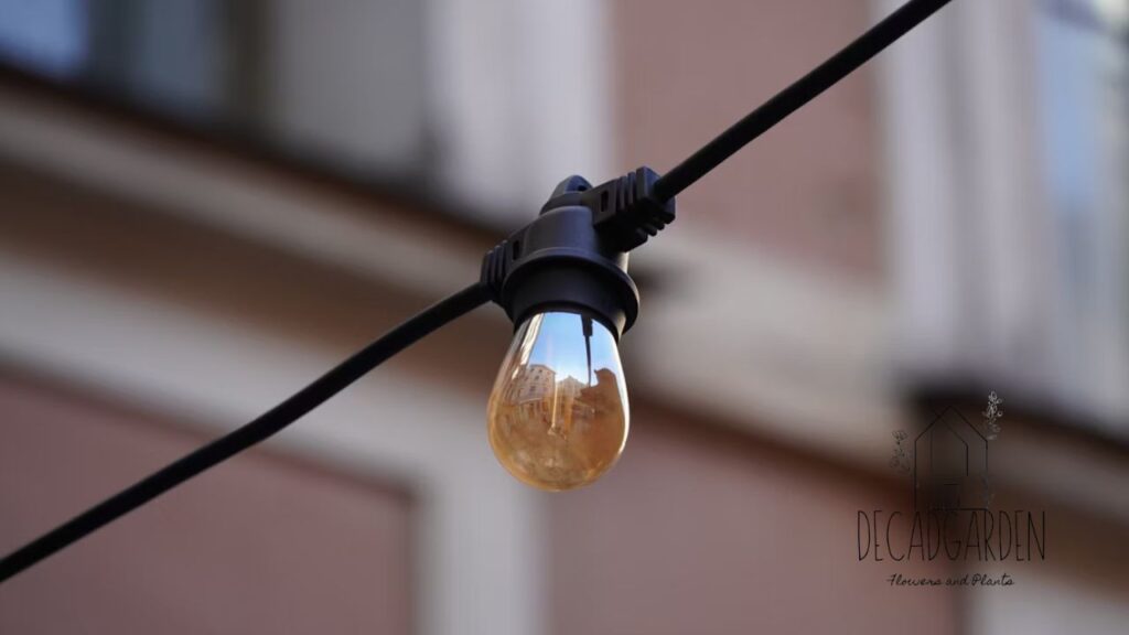 Top Benefits of Plug In Pendant Lights