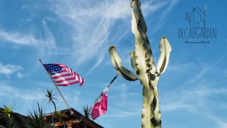 Visit the German-American Friendship Garden A Symbol of Unity