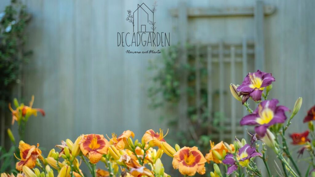 What Makes the Home and Garden Show at Mohegan Sun Special