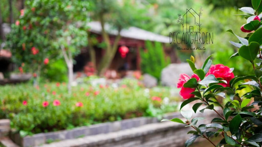 Why Customers Love Napa Home and Garden