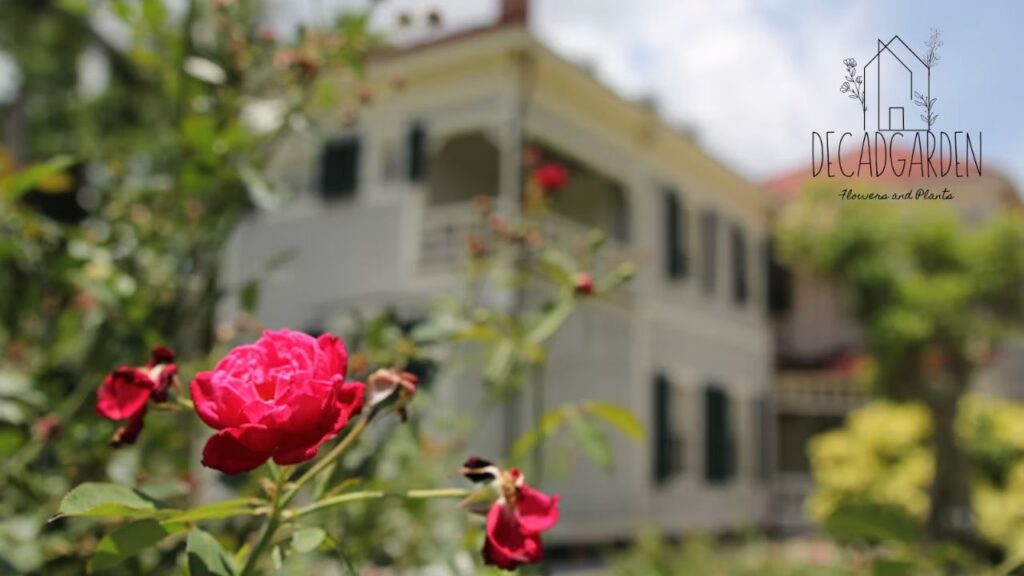 Why Rose Garden Branch Library Is a Local Treasure