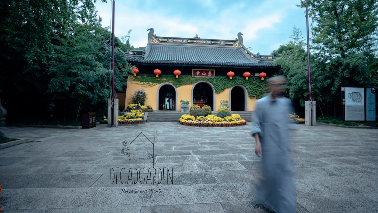 China Garden