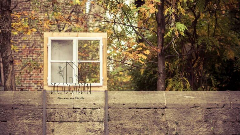 Cottage Garden Design Plans Your Guide to a Dreamy Outdoor Escape