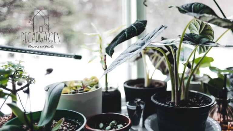 From Garden Tools to Guest Beds How to Store It All Without the Clutter