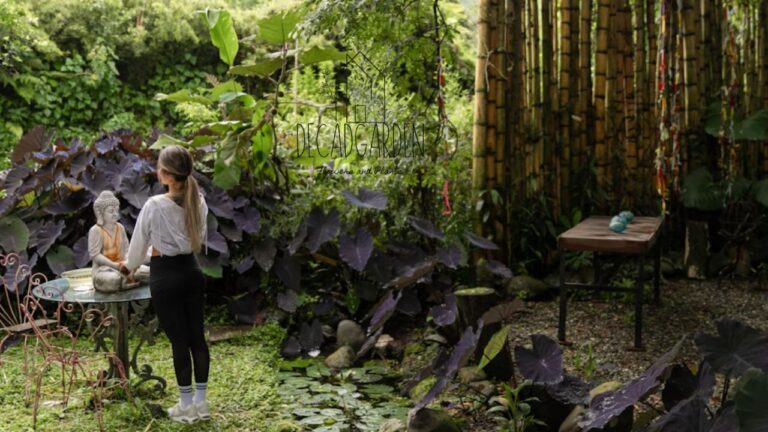 Shade Perennials Garden Designs Transform Your Shady Spaces into Lush Retreats